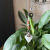 Pendule sur mesure – Image 2